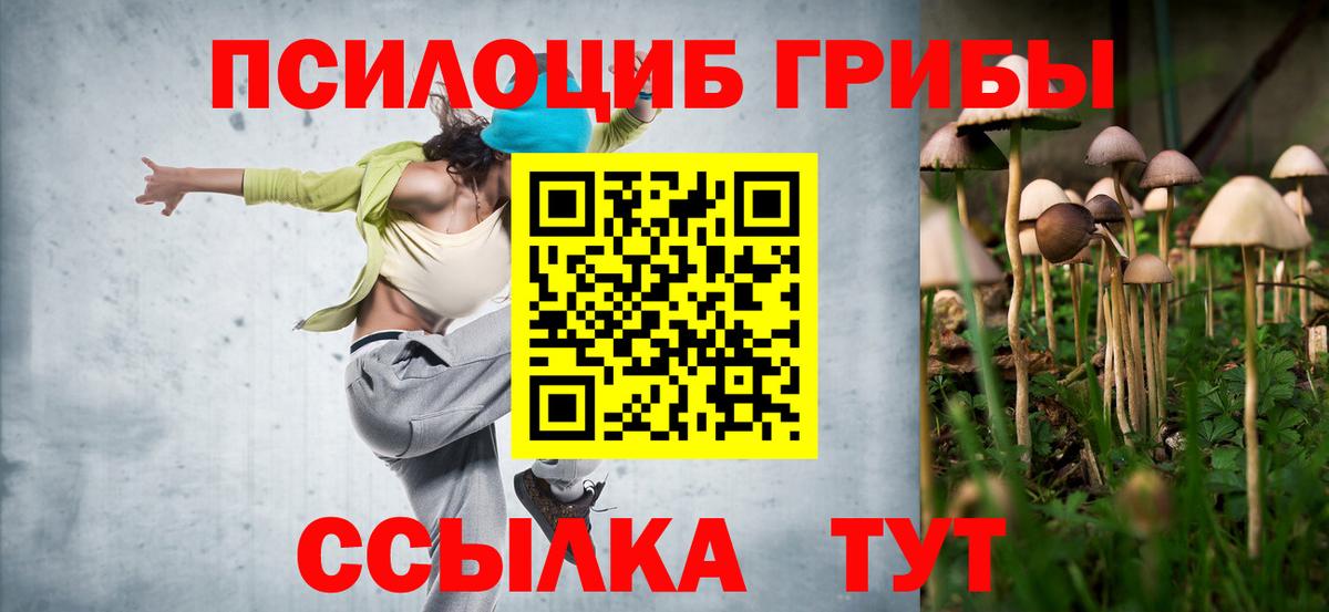 Галлюциногенные грибы мухоморы Карталы