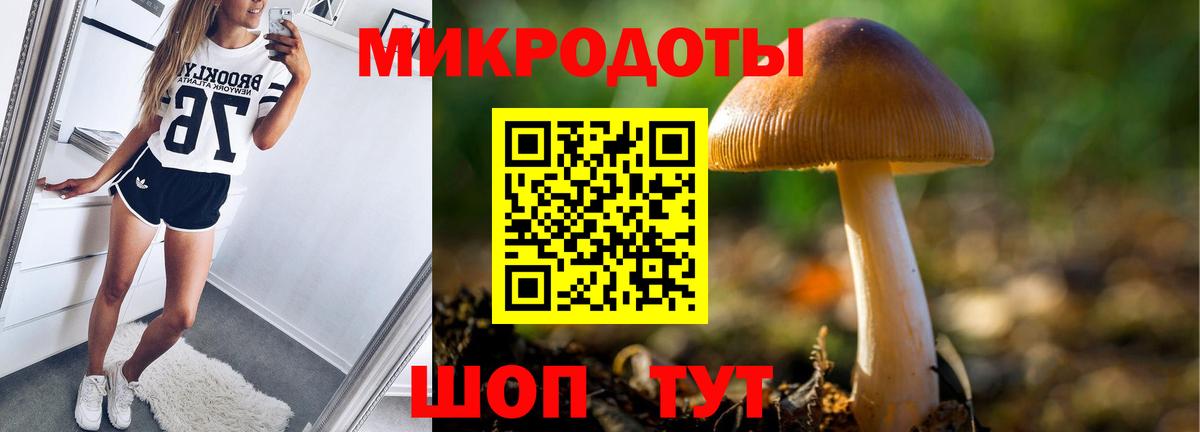 Псилоцибиновые грибы мицелий Карталы